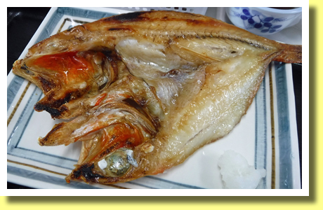 Kichiji ( Channel Rockfish ), Utoro, Shiretoko Peninsula, Hokkaido