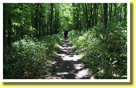 Walking Paths around Kushiro Shitsugen