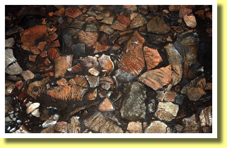 Pottery Shards, Sannai-Maruyama Archaeological Site, Aomori City, Aomori Pref., Tohoku
