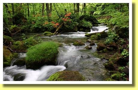Oirase Stream, Aomori Pref., Tohoku