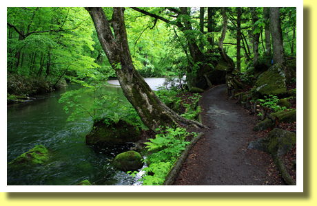 Oirase Stream and a trail, Aomori Pref., Tohoku