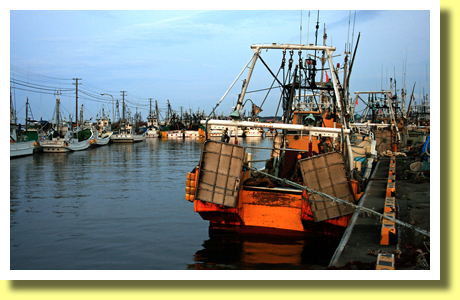 Fishing Boats, Choshi, Chiba, Kanto