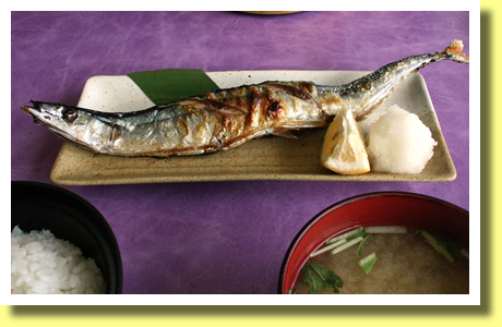 Grilled Sanma, Choshi, Chiba, Kanto