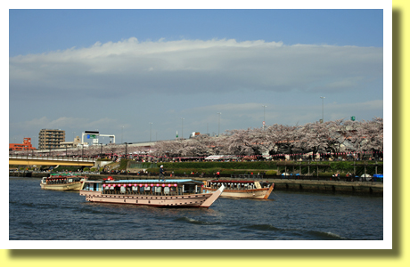 Viewing from Cruise Ship. Tokyo, Japan