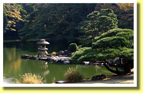 Shinjuku Gyoen, Tokyo, Japan