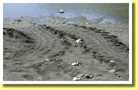 Footprints of sea turtles, Chichijima, Ogasawara Islands, Tokyo, Japan