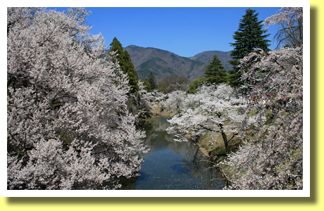 Moats of Ueda-jo Castle and Sakura, Ueada, Nagano, Koh-Shin-Etsu