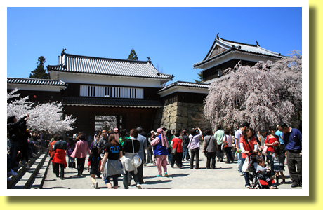 Site of Ueda-jo Castle and Sakura, Ueada, Nagano, Koh-Shin-Etsu