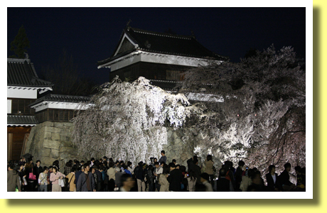 Ueda-jo Castle and Sakura, Ueada, Nagano, Koh-Shin-Etsu
