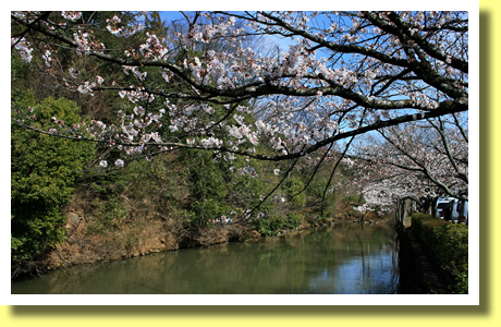 Site of Tsutsujigasaki Yakata, Kofu, Yamanashi, Koh-Shin-Etsu