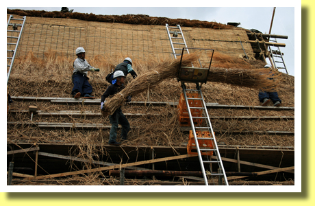 Rethatching roof of Gassho Style Houses, Shirakawa-go, Gifu, Tokai