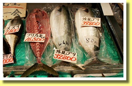 Buri ( Yellowtail ), Toyama, Hokuriku