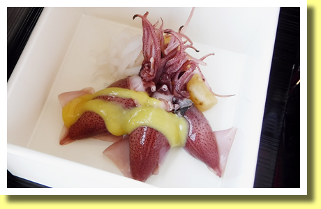 Hotaru-Ika ( Firefly Squid ), Toyama, Hokuriku