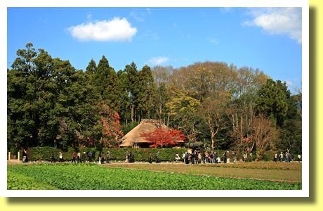 Sagano and Rakushi-sha, Kyoto, Kinki