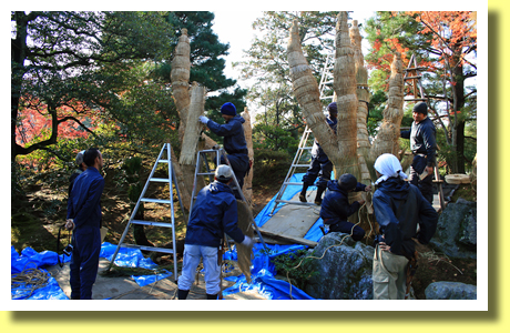 maintenance of the garden, Katsura Rikyu, Kyoto, Kinki