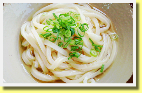 Kake Udon, Kagawa Pref., Shikoku