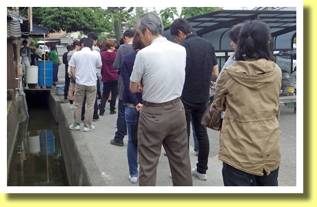 Long Queue, Gamo Udon Restaurant, Sakaide, Kagawa Pref., Shikoku