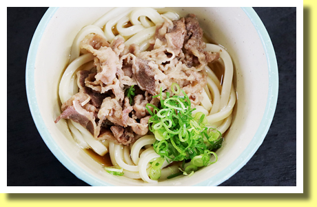 Bukkake Udon topped with Meat, Yamashita Udon, Zentsuji, Kagawa Pref., Shikoku