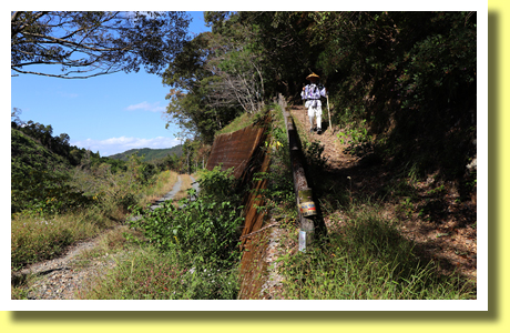 Shikoku Henro Pilgrim walking, Shikoku