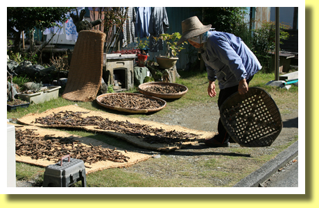 An old woman, Kuma-Kogen Town, Ehime Pref., Shikoku