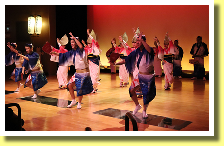 Awa Odori, Tokushima City, Shikoku
