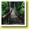 Kazura-bashi Brighe, Iya Valley, Tokushima, Shikoku