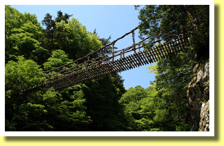 Oku-Iya Nuju Kazura-bashi Bridges, Iya Valley, Tokushima Pref., Shikoku