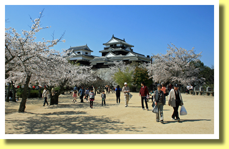 Main Keep and Sakura, Matsuyama-jo Castle, Matsuyama City, Ehime Pref., Shikoku