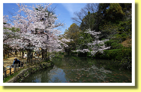 Dogo Koen and Ruins of Yuzuki-jo Castle, Matsuyama City, Ehime Pref., Shikoku