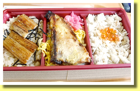 Assorted Seafoods Eki-Ben. Matsuyama, Shikoku