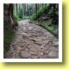 Kumano Kodo, Tanabe, Wakayama Pref., Kinki